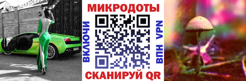 Галлюциногенные грибы Psilocybine cubensis  Псков 