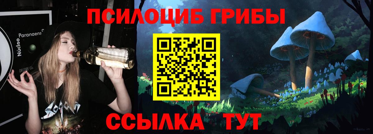 Псилоцибиновые грибы прущие грибы Псков