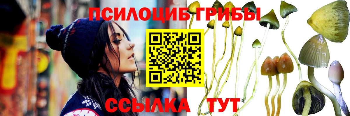 Псилоцибиновые грибы MAGIC MUSHROOMS  Вход с VPN  Псков  Галлюциногенные грибы Psilocybine cubensis 
